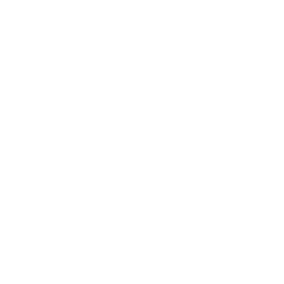 Efficient Export & Delivery